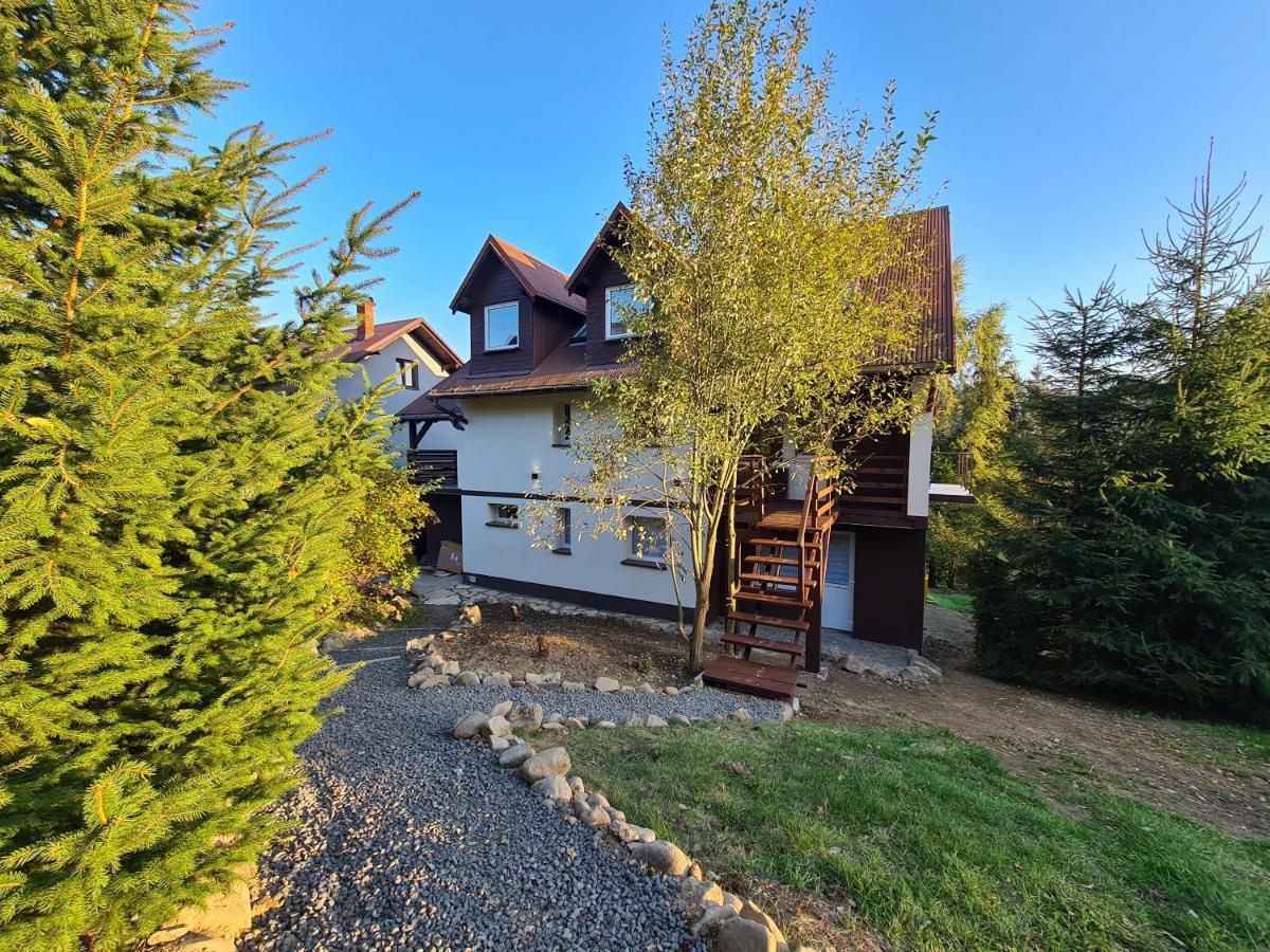 Apartamenty Willa Naskarpie Jacuzzi Sauna Basen Wisla Exterior photo
