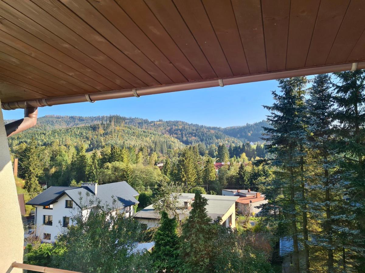 Apartamenty Willa Naskarpie Jacuzzi Sauna Basen Wisla Exterior photo