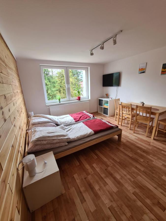 Apartamenty Willa Naskarpie Jacuzzi Sauna Basen Wisla Exterior photo